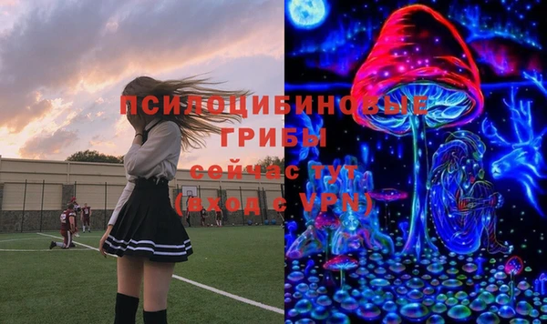 эйфоретик Новодвинск