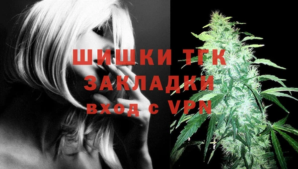 эйфоретик Новодвинск