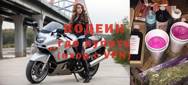 хмурый Болотное