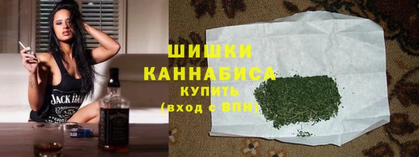 бошки Новозыбков